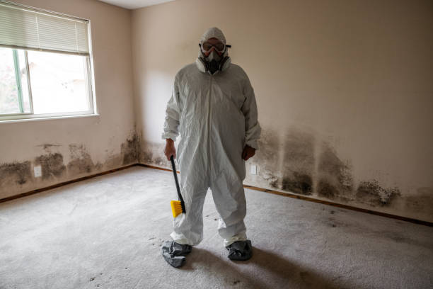 Mold Removal and Inspection in Brownstown, IN
